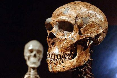 No hubo cruce con el neandertal