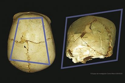 El hombre de Atapuerca tambi&eacute;n miraba musara&ntilde;as... pero gigantes