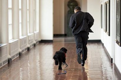 La llegada de Bo, el perro de la Casa Blanca, acapara la atenci&oacute;n en EEUU
