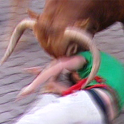 Cuatro heridos por asta y uno muy grave con una cornada en el cuello