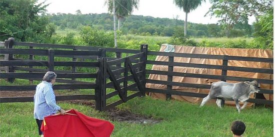 Julian Lago torendo en su finca de Paraguay.
