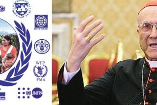 "Los derechos humanos no se fundamentan en las mayor&iacute;as parlamentarias"