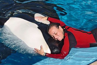 Una orca mata a su entrenadora durante un espect&aacute;culo en Orlando