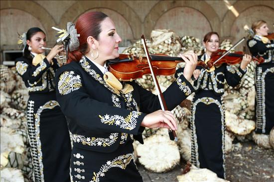 El Nuevo Tecalitlán, estrella del festival de mariachis de Londres