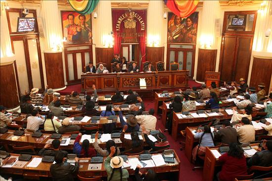 La derecha boliviana retrasa pero no frena la ley de Morales contra los gobernadores