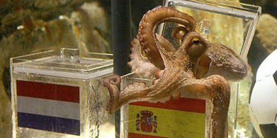 El Pulpo Paul tampoco falla en su predicci&oacute;n de la final y Espa&ntilde;a se hace con la victoria