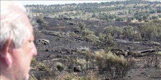 Alcalde de Villarino asegura "el incendio no se ha reproducido, volvieron a prender"