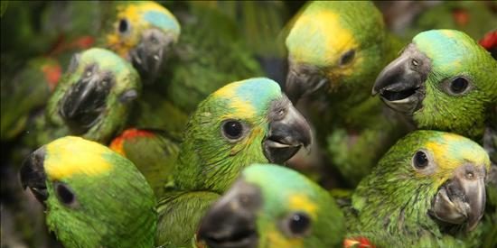 Pronóstico del Tiempo: frío invernal y últimas lluvias este lunes 17 de noviembre de 2025