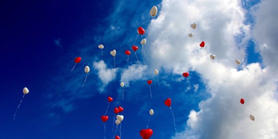 Una boda paso a paso