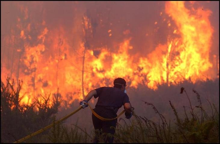 Mientras Galicia arde, la hija de una dirigente del PSOE lanza fuegos artificiales en plena boda