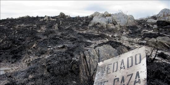 El incendio de Laza, que afecta a 1.600 hect&aacute;reas, se encuentra "estabilizado"