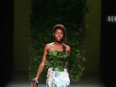 El bosque impenetrable de Devota & Lomba