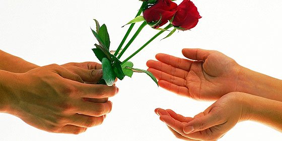 &iquest;Es el amor una irresistible reacci&oacute;n qu&iacute;mica?