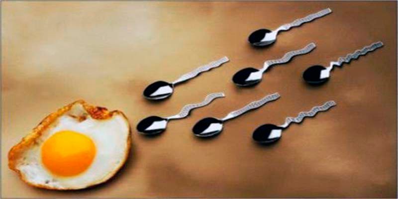 ¿A que no adivinas qué prefieren los hombres si tienen que elegir entre el sexo y la comida?