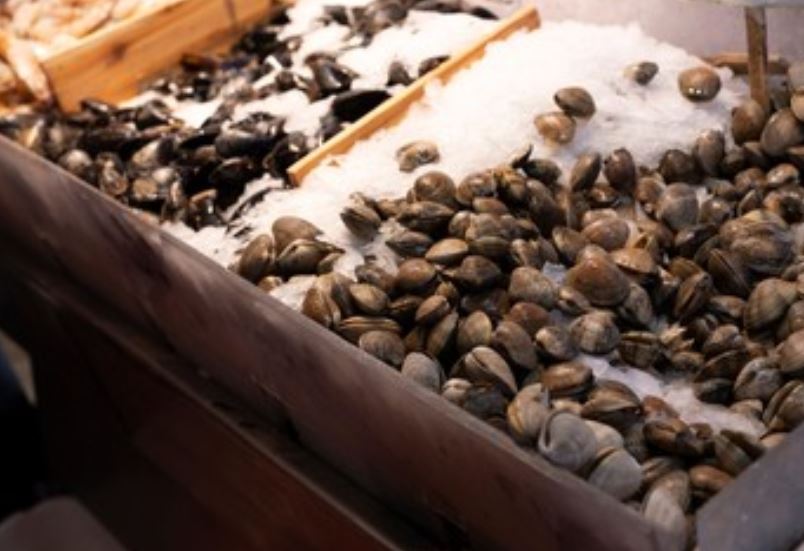 Almejas en el mercado