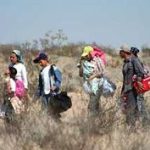 Denuncian un secuestro masivo de 80 inmigrantes en el estado de Veracruz