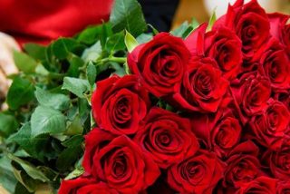 Sin Rosas no hay San Valent&iacute;n
