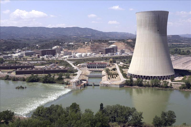 Asc&oacute; II sufre una variaci&oacute;n de potencia al entrar algas en su toma de agua