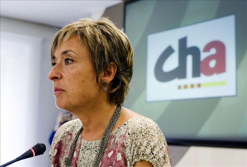 IU y CHA abren la puerta a una coalición de izquierdas para el 20-N