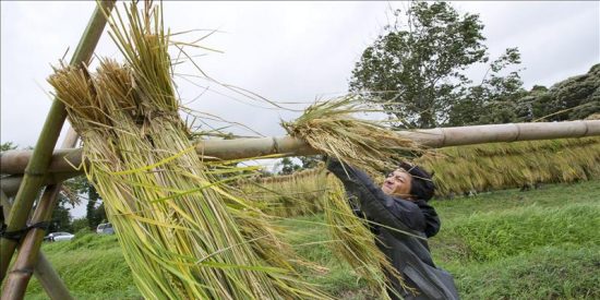 El tif&oacute;n "Roke" causa al menos cuatro muertos y mantiene en alerta a Jap&oacute;n