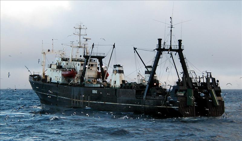 La NAFO limita a 16.326 toneladas las capturas del fletán en 2012