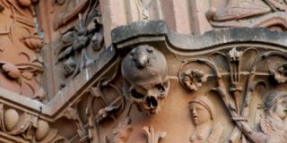 Desvelado el misterio de la rana que se asoma desde la calavera