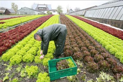 La consecuencia del plan de Bruselas para la agricultura y ganader&iacute;a: comeremos mierda