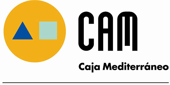 La CAM reconoce p&eacute;rdidas de 2.713 millones en 2011