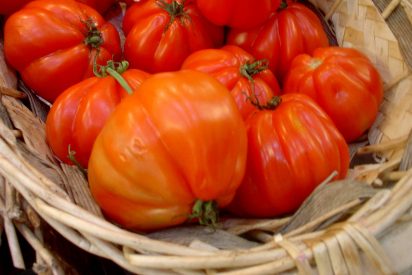 Delicias primaverales