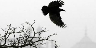 "Hay que romper con el modelo medieval y decimon&oacute;nico existente en Roma"