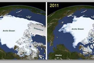 La NASA descubre un bosque de plantas marinas bajo el hielo del &Aacute;rtico