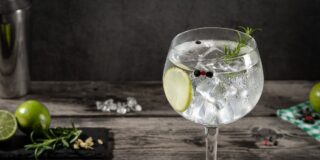 Gin Tonic