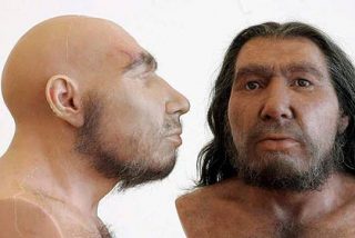 Los neandertales se extinguieron pronto en la Pen&iacute;nsula Ib&eacute;rica