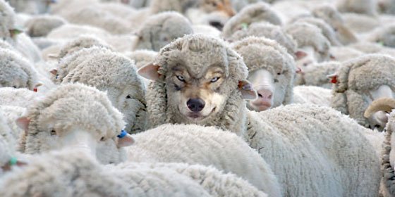 La propia oveja podr&aacute; avisar por SMS al pastor de que viene el lobo