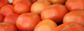 Cake veraniego de Parmigiano Reggiano, tomates y aceitunas