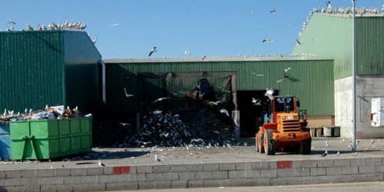 Company pide a la oposici&oacute;n que no utilice la expresi&oacute;n "basurero de Europa"