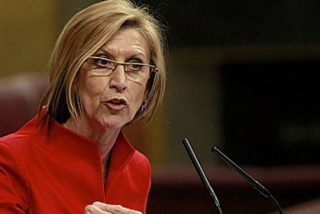 Rosa D&iacute;ez, sobre Bildu: "Tambi&eacute;n los nazis llegaron a las instituciones y &iquest;eso les convirti&oacute; en dem&oacute;cratas?"