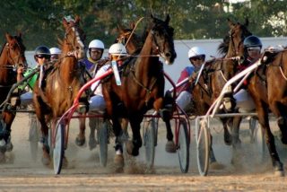 Muere un caballo en el Hip&oacute;dromo de Manacor tras ser golpeado "por su mal comportamiento"