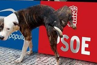 La casta política puede echarse a temblar: ¡Los 'indignados' planean crear un partido!