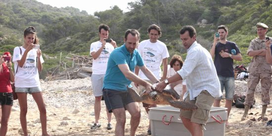 Bauz&aacute; y Company soltando tortugas