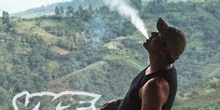 Kings of Cannabis (Documental completo)