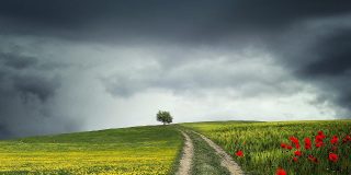 Víctor Corcoba Herrero: “La eterna novedad del combate”