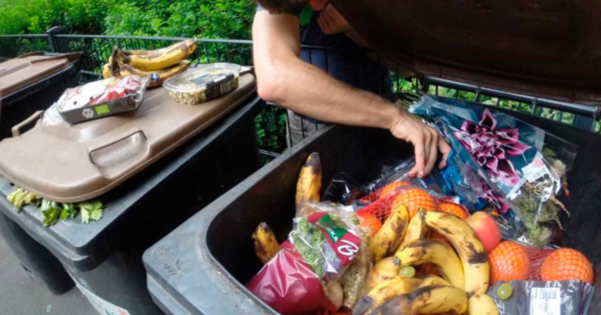 Comida a la basura.