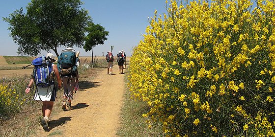 Camino de Santiago: &iquest;c&oacute;mo se entrena el peregrino y cu&aacute;l es la forma f&iacute;sica ideal?