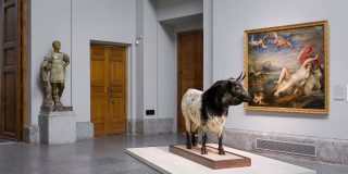 La naturaleza entra en el museo