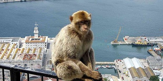 Londres amenaza con hacer la vida imposible a los trabajadores espa&ntilde;oles en Gibraltar