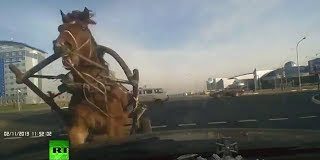 Insólito choque de una carreta tirada por un caballo que se lleva puesto a un coche