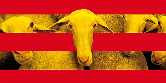 La Generalitat de Catalu&ntilde;a ni aplica leyes ni acata sentencias