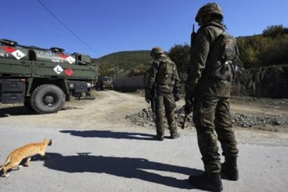 Procesan a una militar de la OTAN por salvar la vida de una gata en Kosovo
