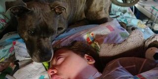 [V&iacute;deo] El ni&ntilde;o en coma al que quieren quitar la perra que le cuida hace 6 a&ntilde;os